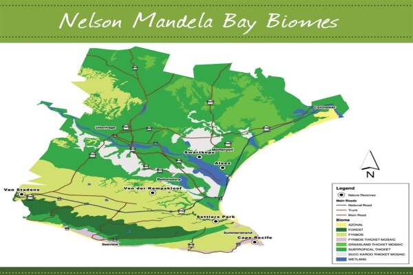 Nelson Mandela Bay Tourism:INFORMATION