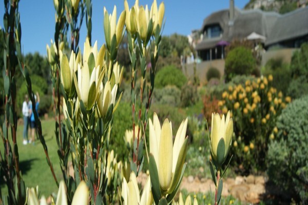 Noordhoek Visitor Information Centre