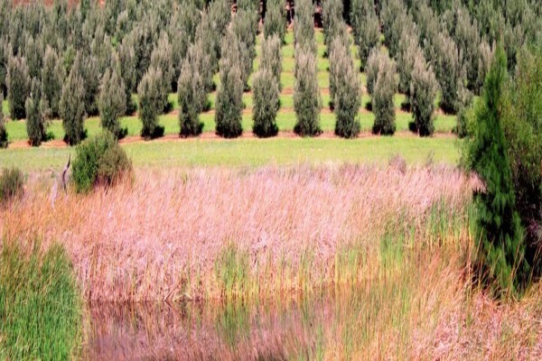 Paarl Tourism Information