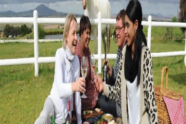 Paarl Tourism Information