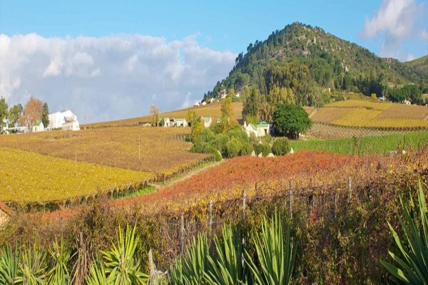 Paarl Tourism Information