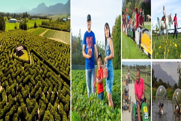Red Berry Farm