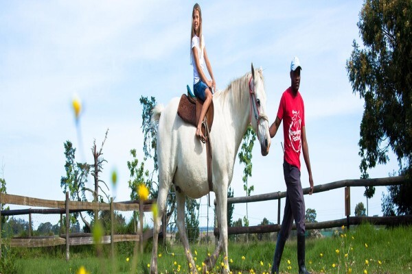 Red Berry Farm