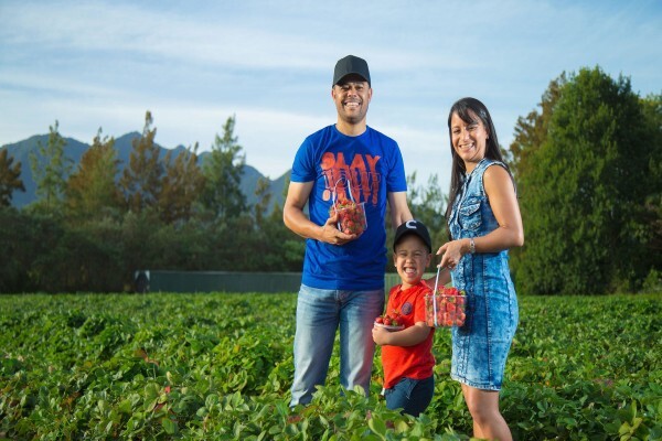 Red Berry Farm