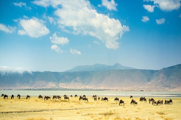Abercrombie & Kent Safaris