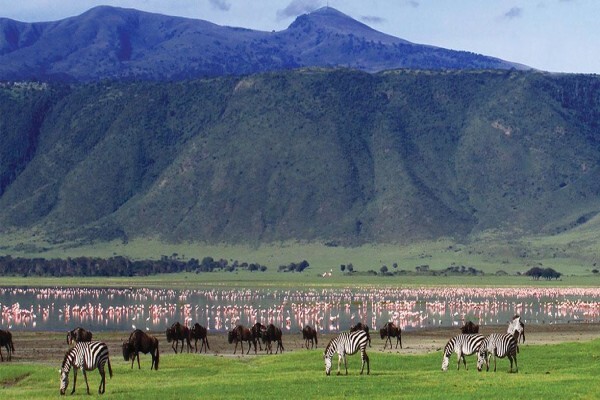 Abercrombie & Kent Safaris