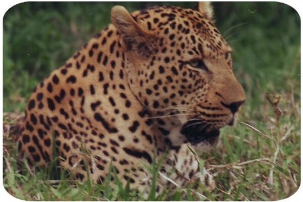 Cape Agri Tours CC