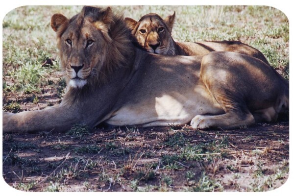 Cape Agri Tours CC