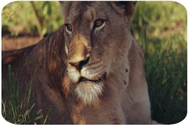 Cape Agri Tours CC