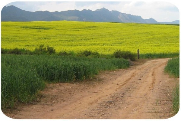 Cape Agri Tours CC