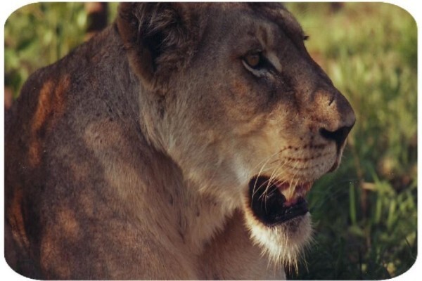 Cape Agri Tours CC