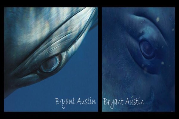 Ocean Blue Adventures