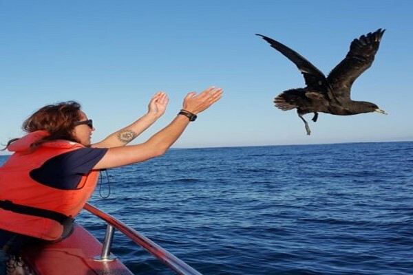 Ocean Blue Adventures