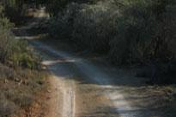 Camdeboo Safaris