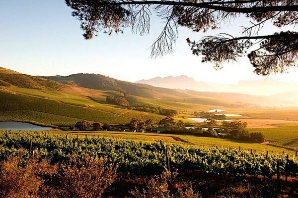 Go Cape Tourism Services