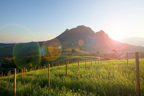 Go Cape Tourism Services
