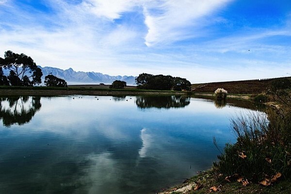 Go Cape Tourism Services