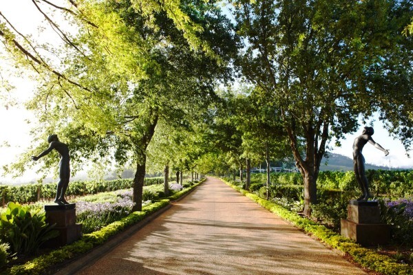 Go Cape Tourism Services