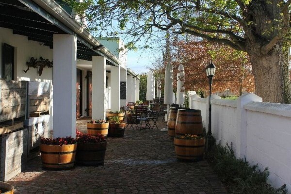 Go Cape Tourism Services