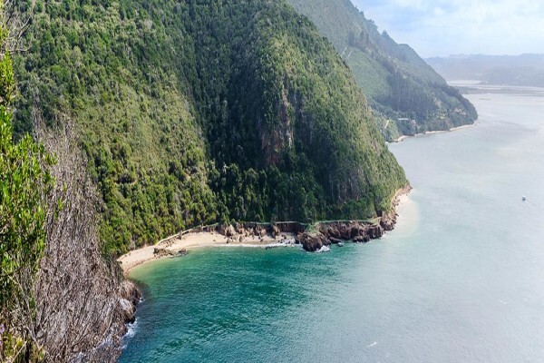 Go Cape Tourism Services