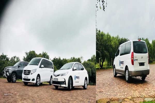 Pogiso's Tours Cc