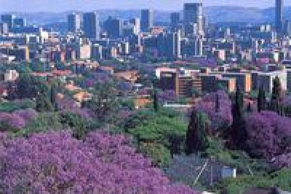 Pogiso's Tours Cc