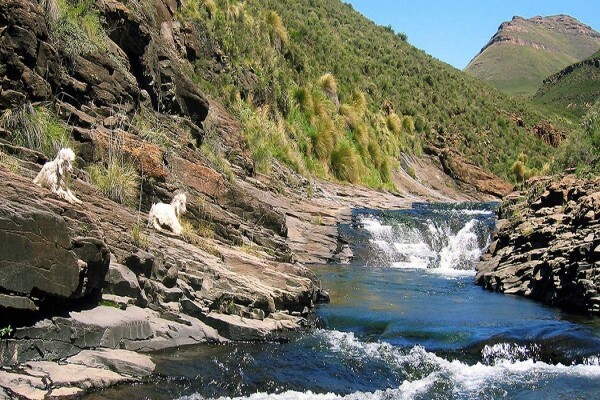 Sani Pass Tours