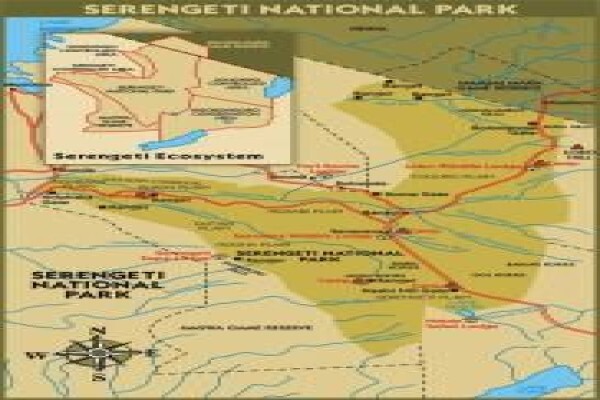 Tanzania Wildlife Safaris