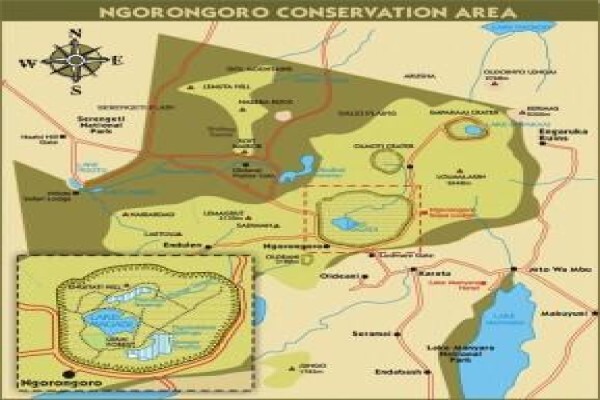 Tanzania Wildlife Safaris