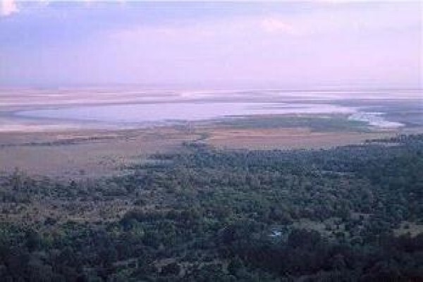Tanzania Wildlife Safaris