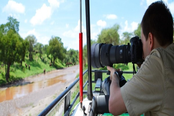 Tanzania Wildlife Safaris