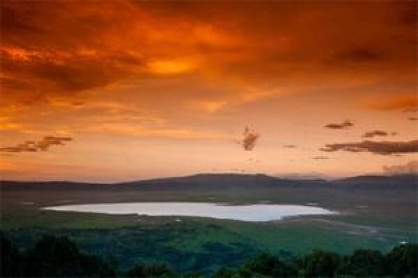 Tanzania Wildlife Safaris