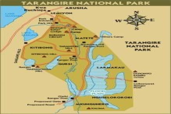 Tanzania Wildlife Safaris