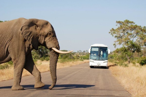 CK Travel & Tour