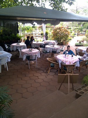 Honey Rose Tea Garden