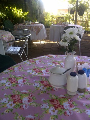 Honey Rose Tea Garden