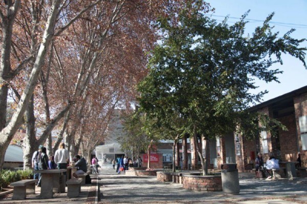 AFDA (Cape Town)