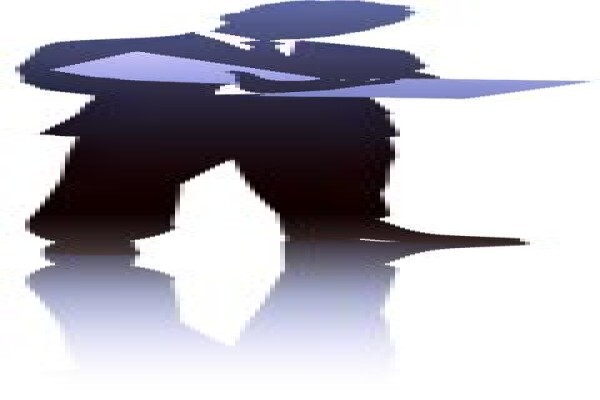 Performance Project Management Services (Pty) Ltd