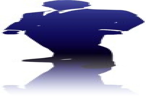 Performance Project Management Services (Pty) Ltd