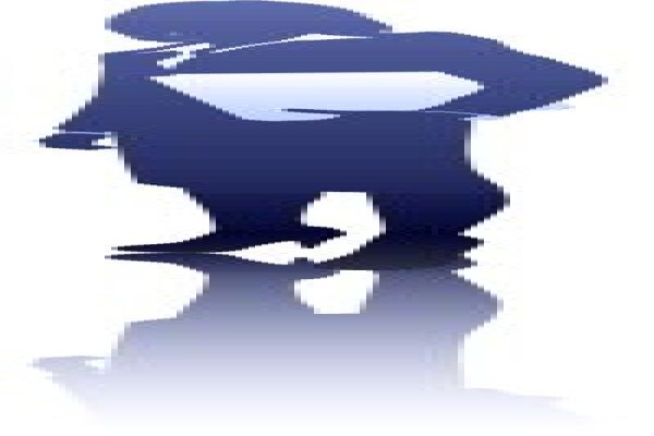 Performance Project Management Services (Pty) Ltd