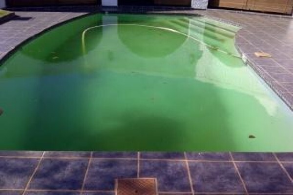 Scotts Pool Service
