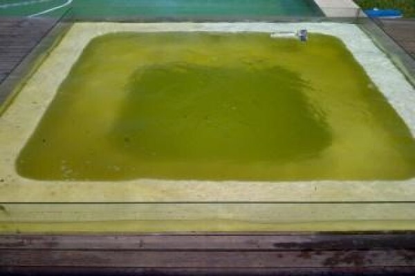 Scotts Pool Service