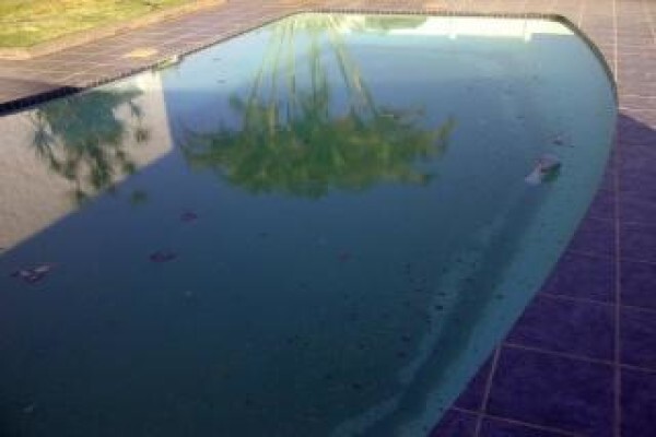 Scotts Pool Service