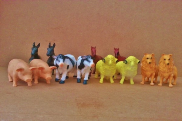 Edunation Educational Products & Toys