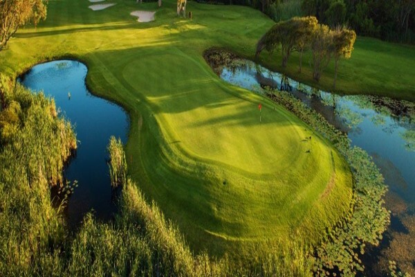 Clovelly Country Club:Golf Bookings