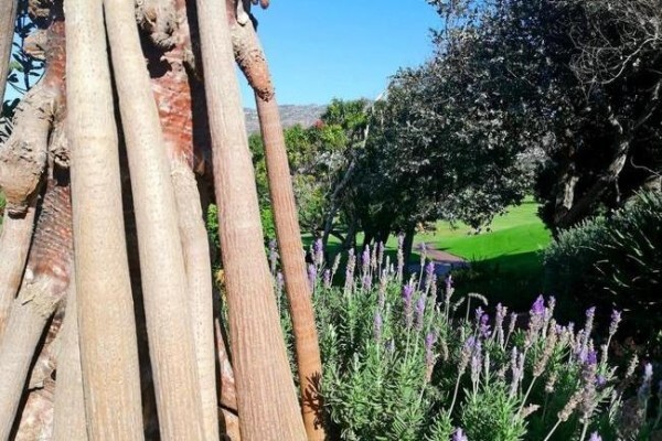 Clovelly Country Club:Golf Bookings