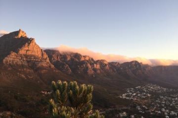 African Eagle Tours:Bookings