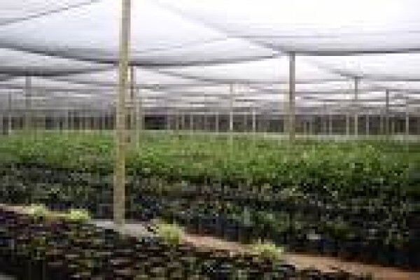 International Bag Buyers (Edms) Bpk