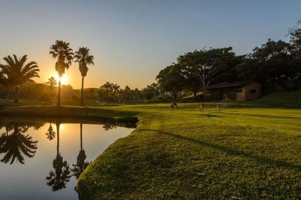 Wagner's Golf Academy