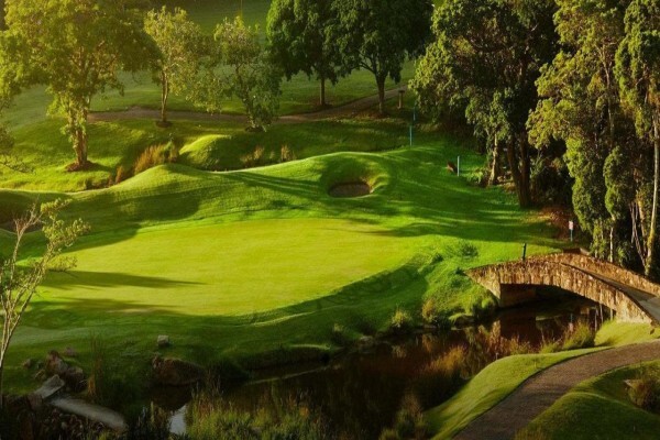 Wagner's Golf Academy